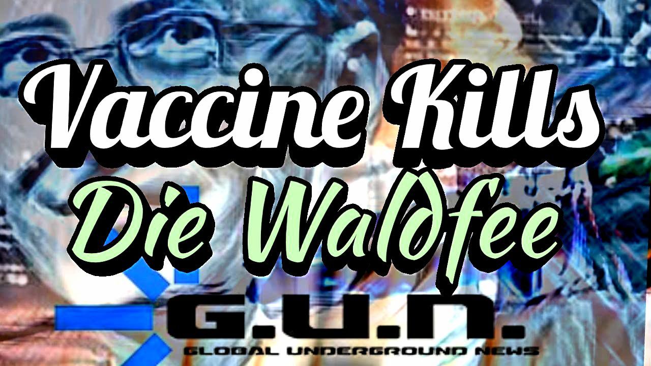 waldfee vaccinekills.jpg