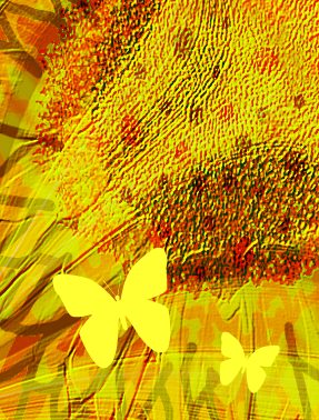 sunflower closeup slice.png