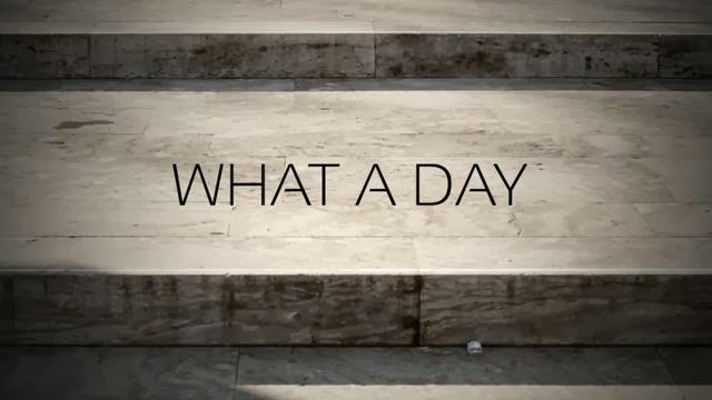 Hello Steemains What A Boring Day Please Steemit Come And Help Me Out 