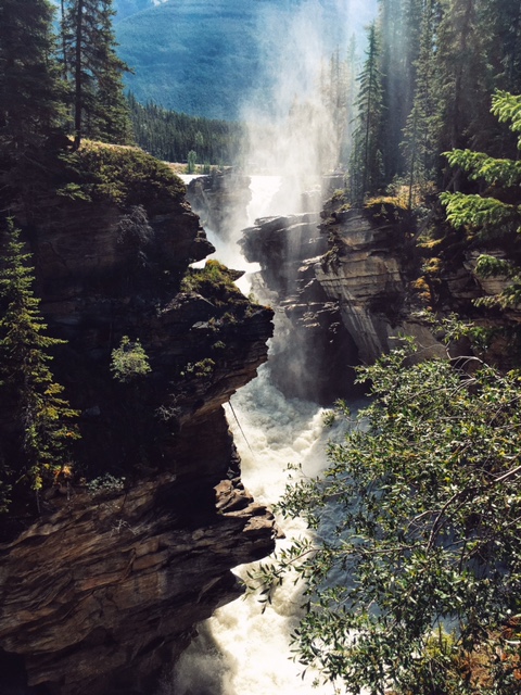 FullSizeRender copy 2.jpg