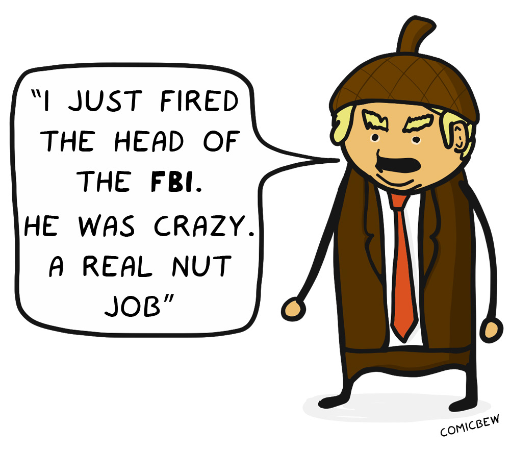 nutjob-comic.jpg