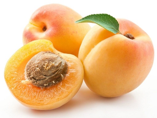 apricot-08.jpg