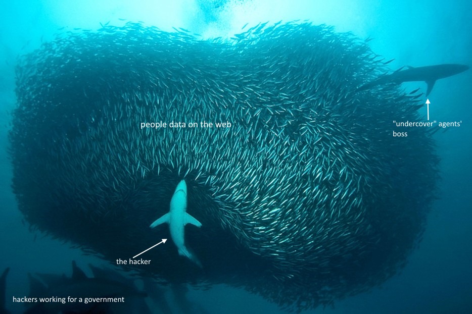 sardines.jpg