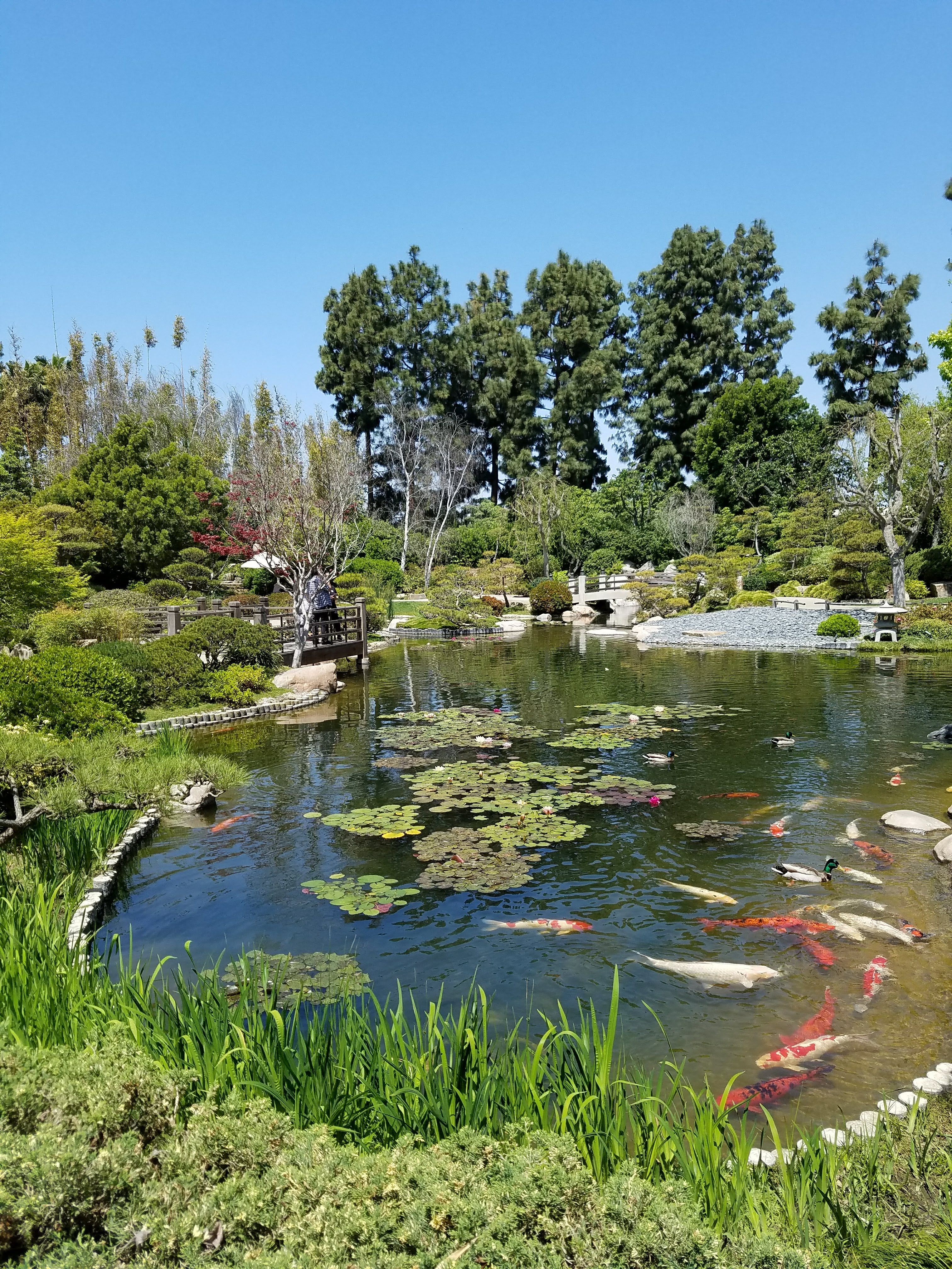 20180427_120741.jpg