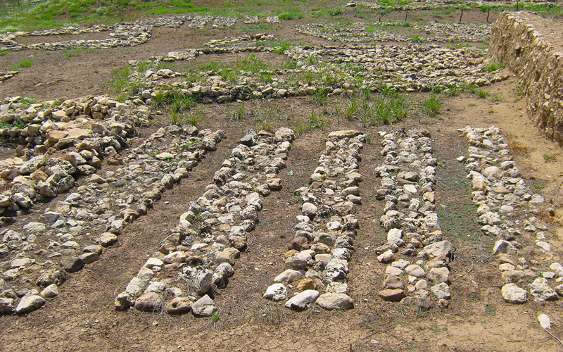 Cayonu-Orenyeri-Diyarbakir.jpg