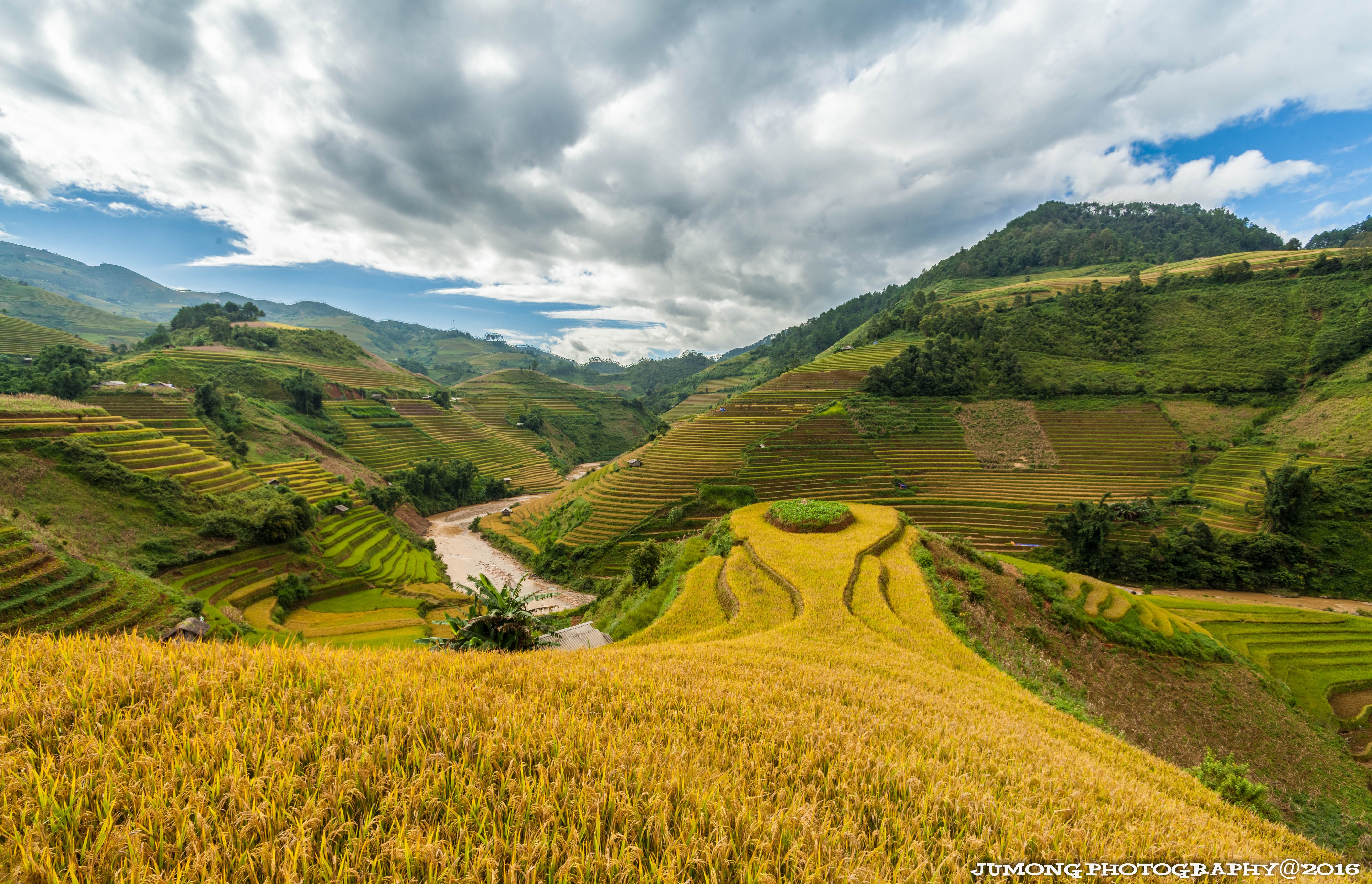 Mu Cang Chai - Golden rice-terraced fields in Vietnam — Steemit