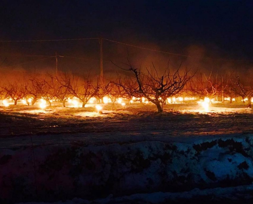 protecting-apricot-field-from-frost-italy-february-2018-by-andrea-goggioli.jpg