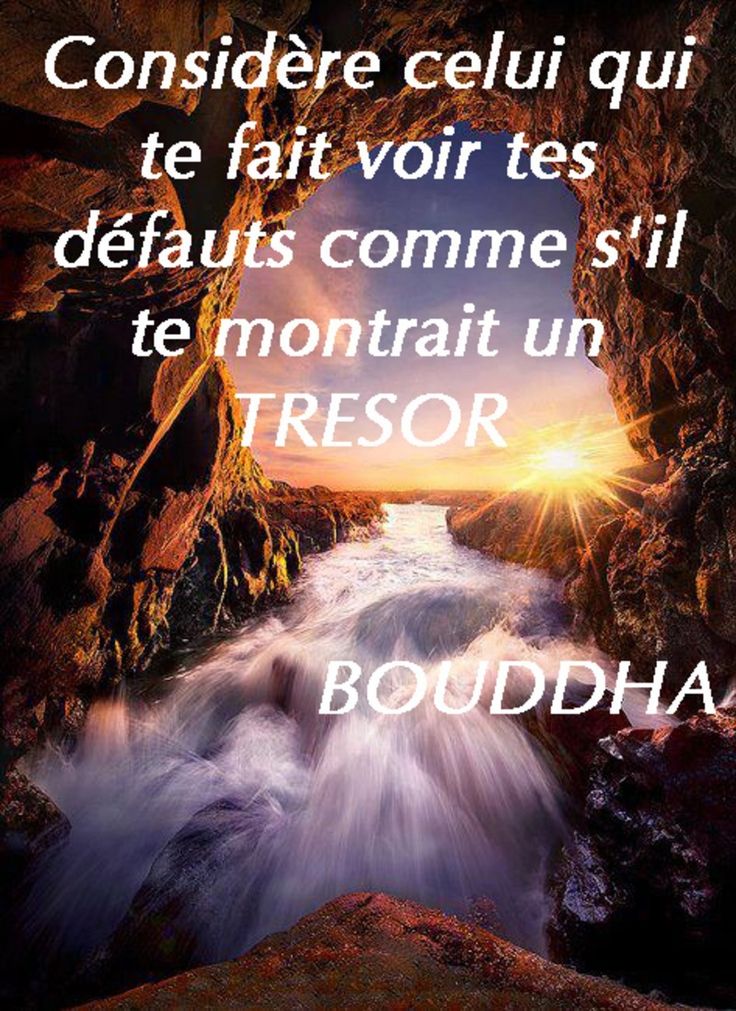 Citation Bonjour A Tous Steemit