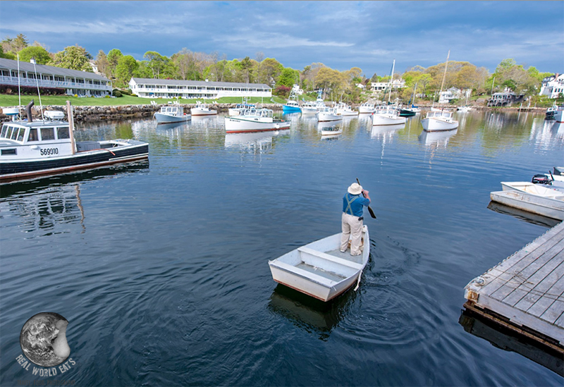 rwe-lobsterman.jpg