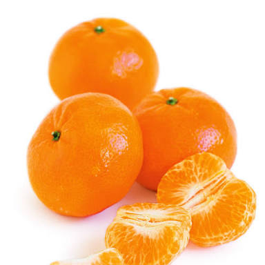 images.jpg