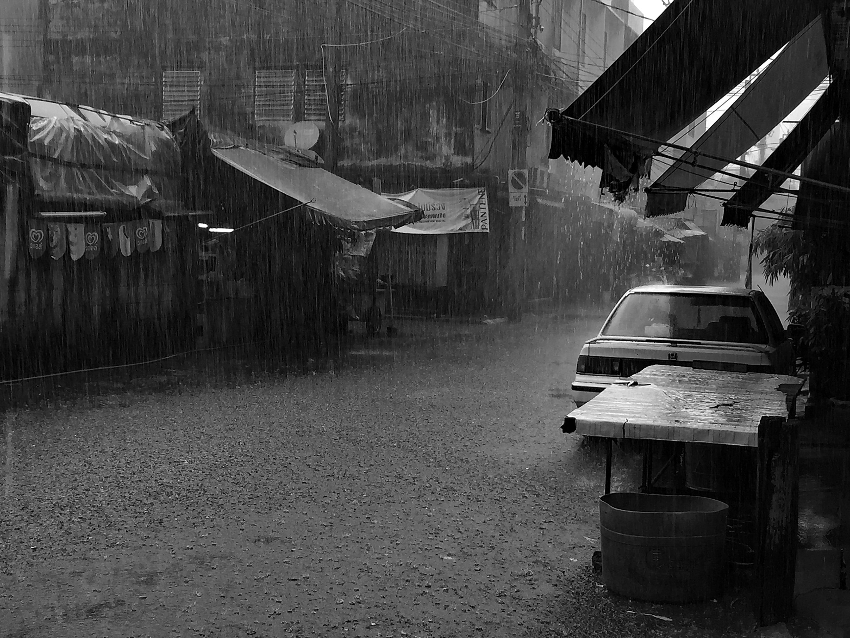 iPhone 6 Oct 12th 2017 rooftop garden 164.JPG