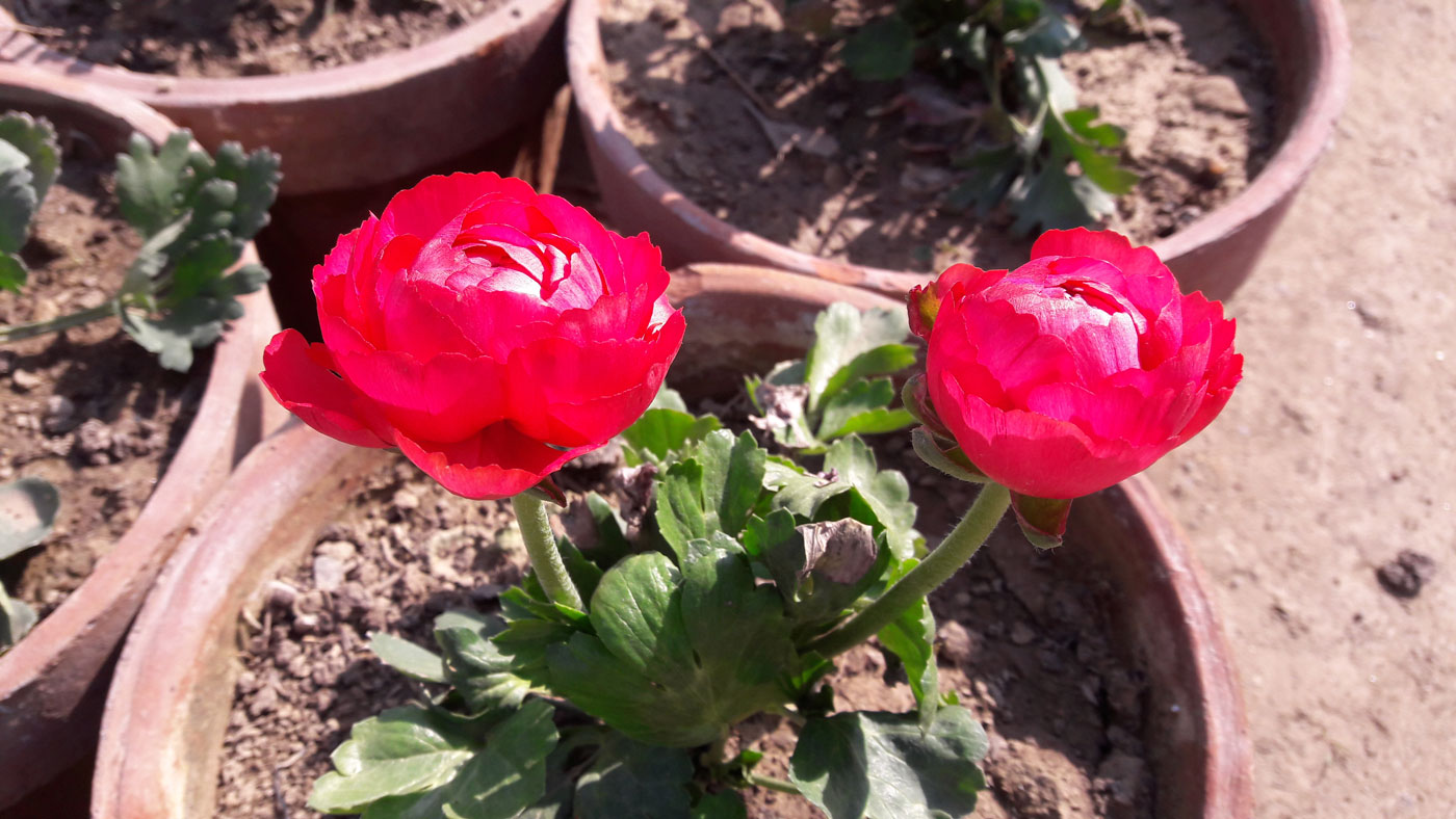20180206_135348.jpg