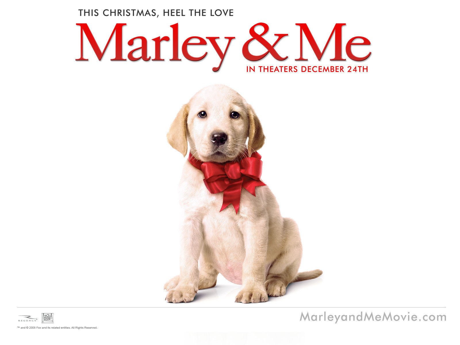 Marley-Me-Small-Dog-Movie.jpg