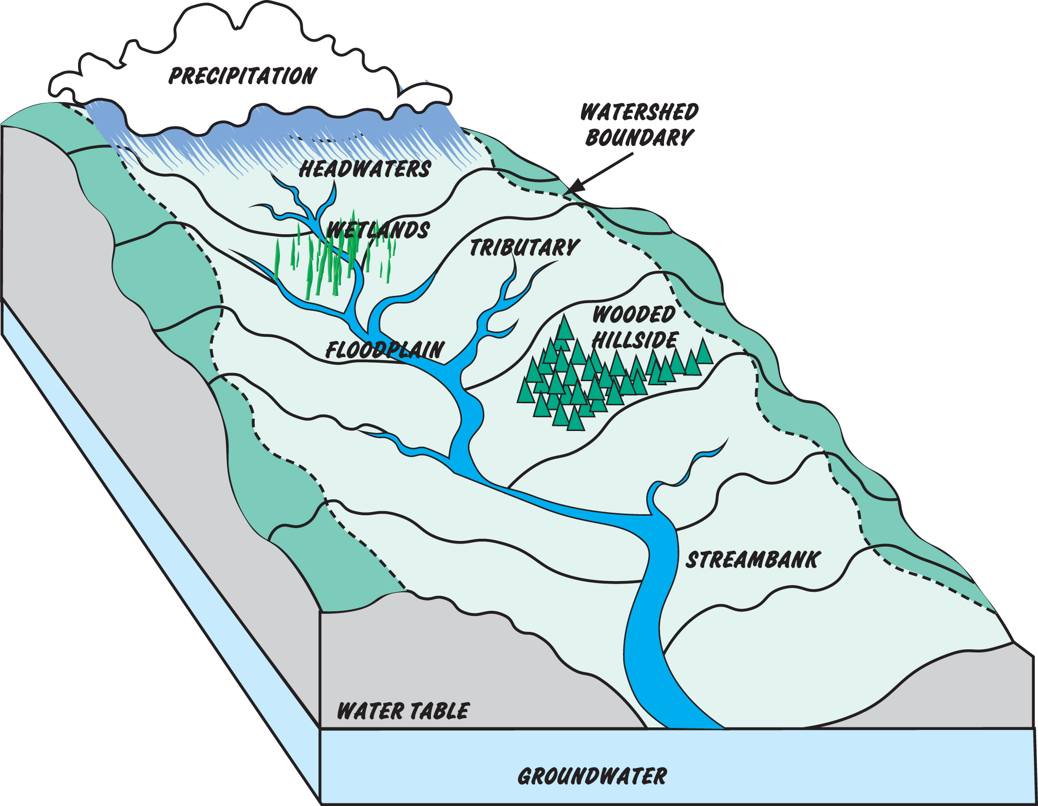 watershed-diagram2.jpg