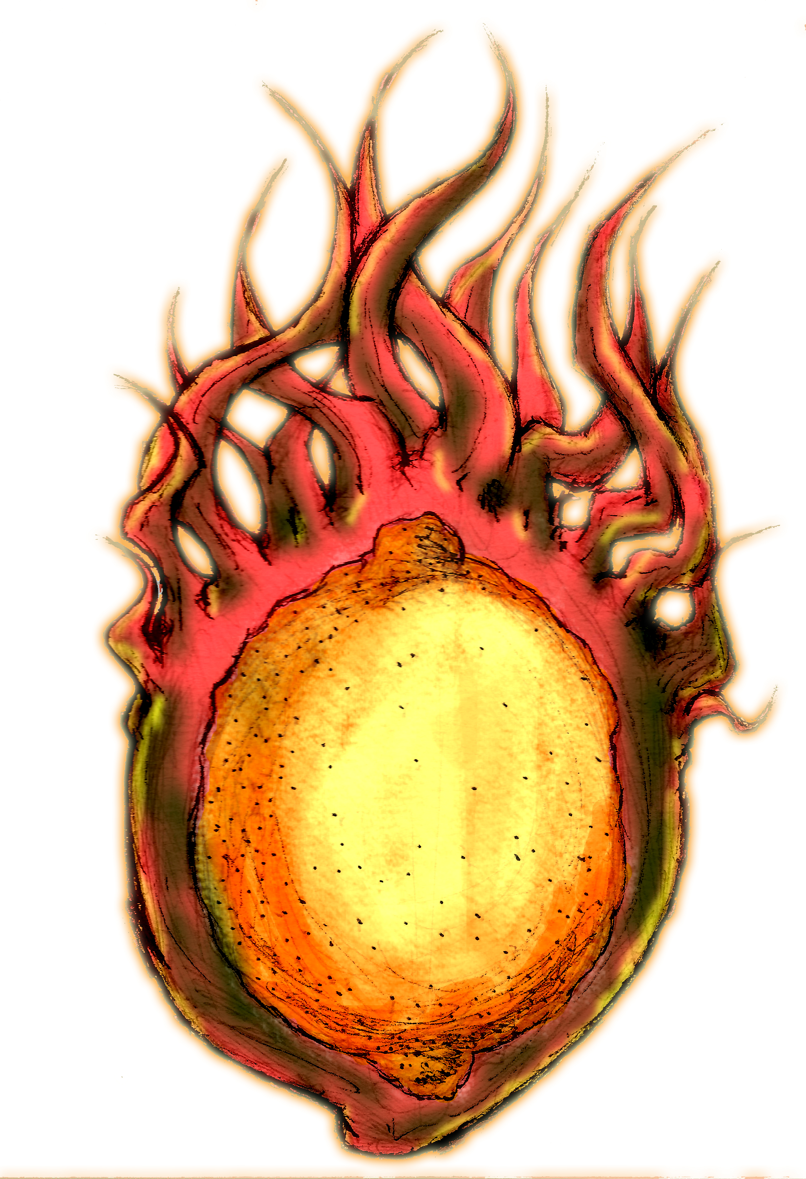 fiery-citrus-sketch.jpg