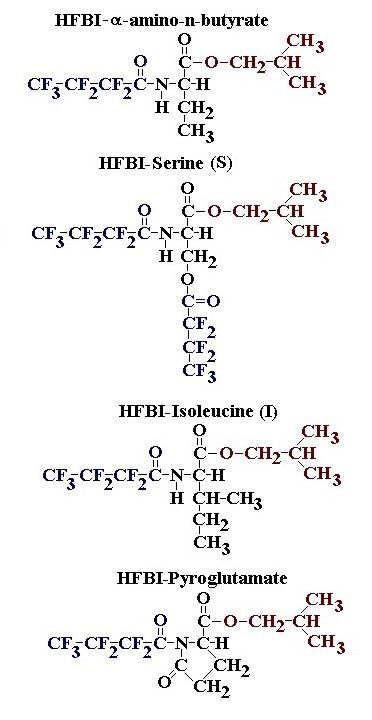 AminoAcids2.jpg