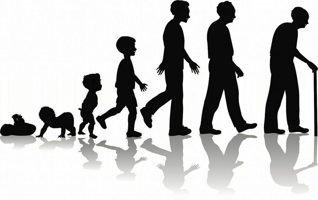 Human Life Cycle Steemit