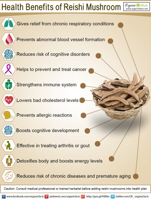 reishi-benefits-2.jpg