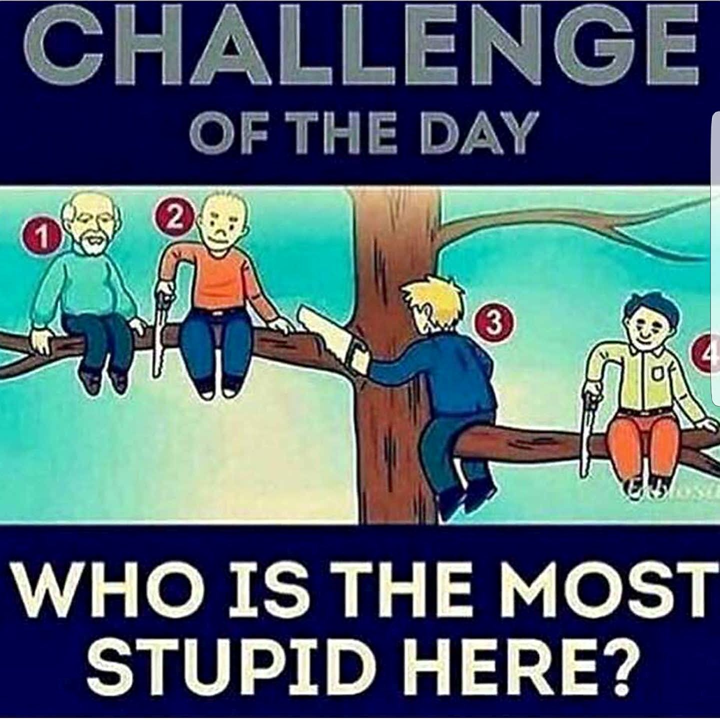 You are here stupid. Stupid and more stupid. Who is more stupid. Stupidest vs the most stupid. Stupid and more stupid i know CPR.