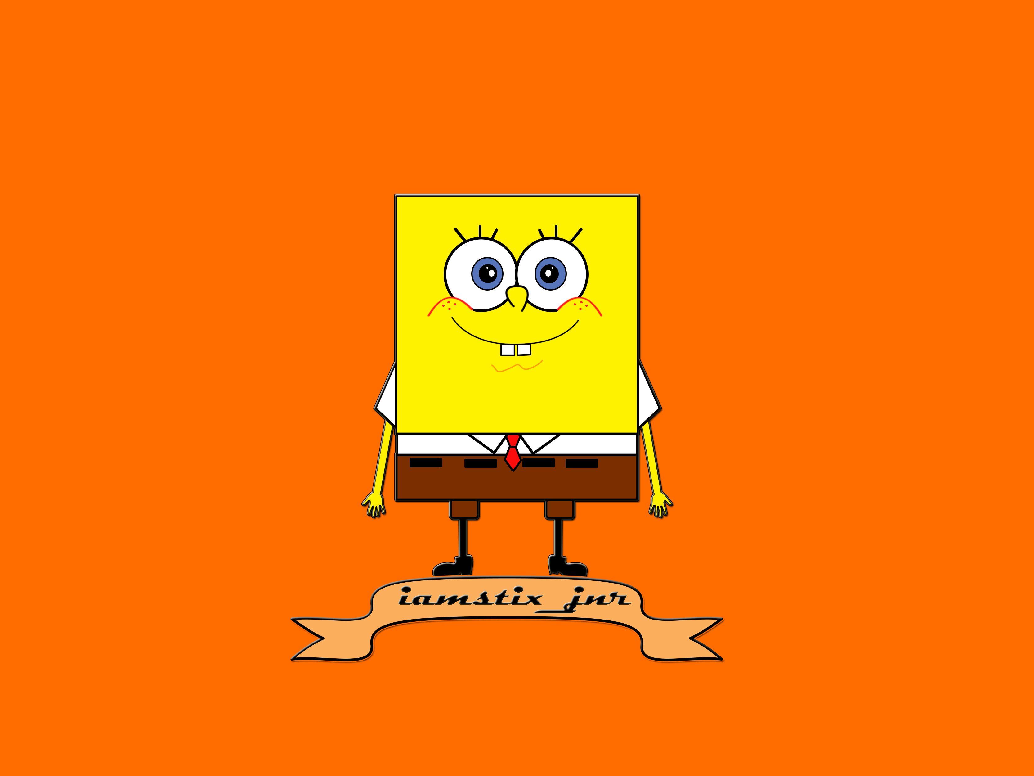 sponge.jpg