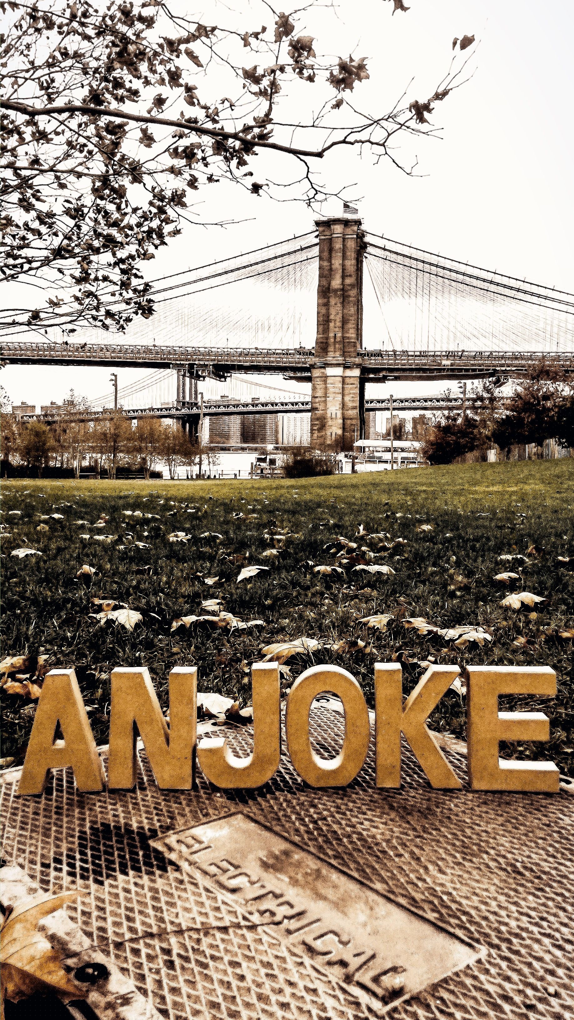 anjoke-electrical-brooklynbridge.jpeg