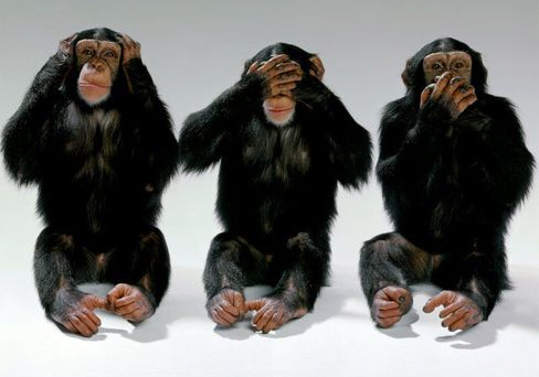 144-three_wise_monkeys.jpg