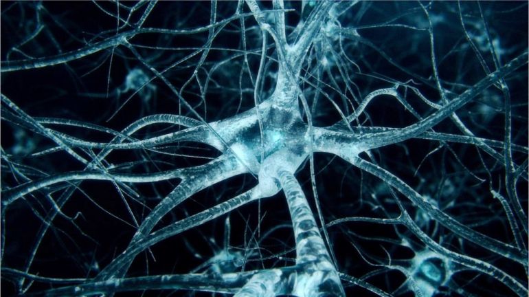 Chip-Based-Artificial-Synapse-That-Can-Learn-Autonomously-1.jpg
