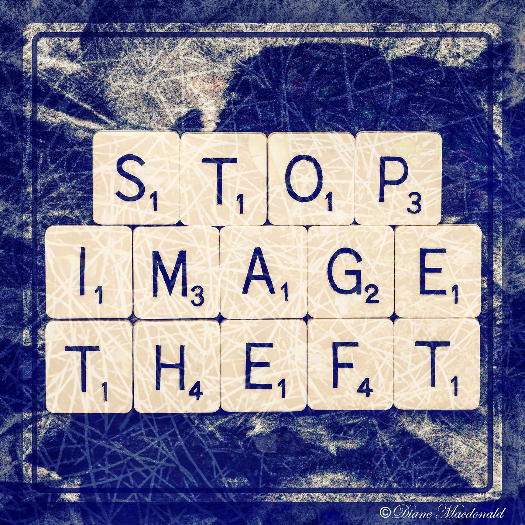 stop image theft.jpg