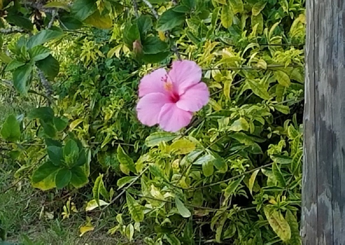 20180319_183741.jpg
