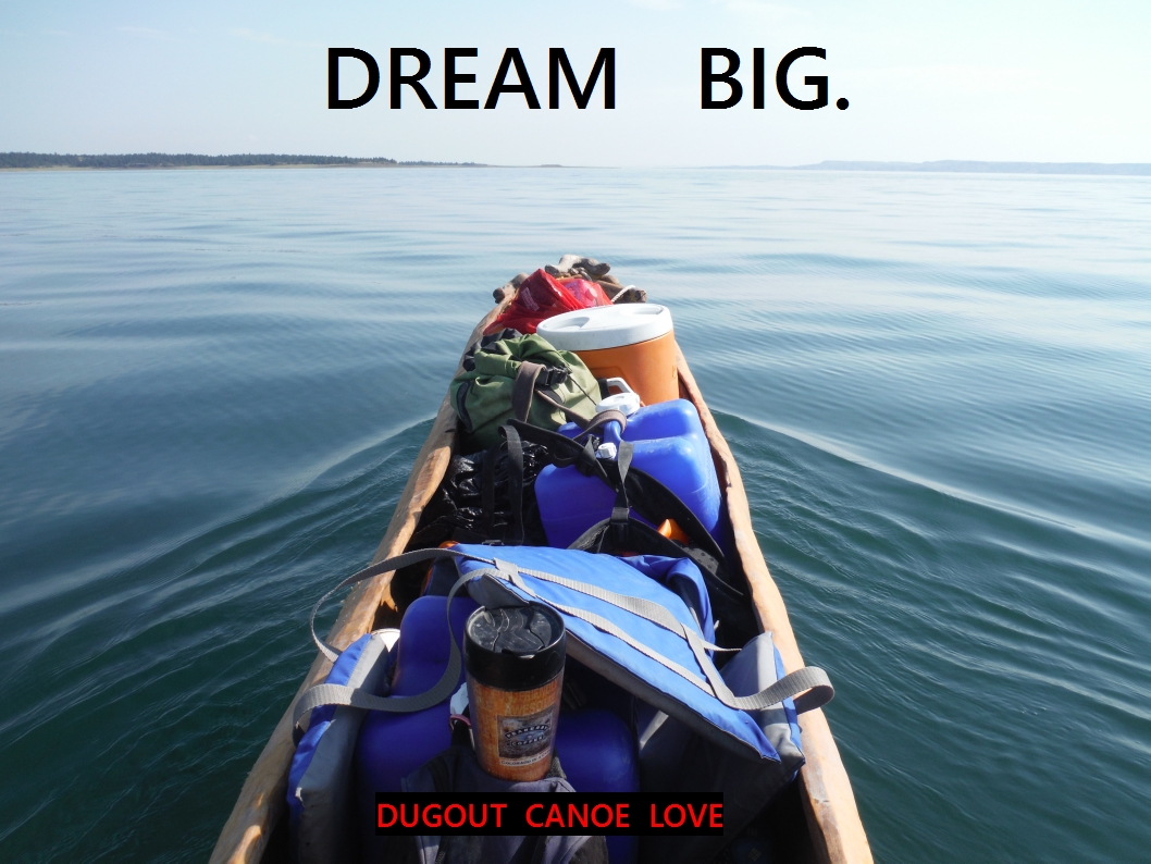 DREAM BIG DCL 1.jpg