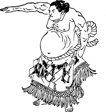 luchadores de zumo.png