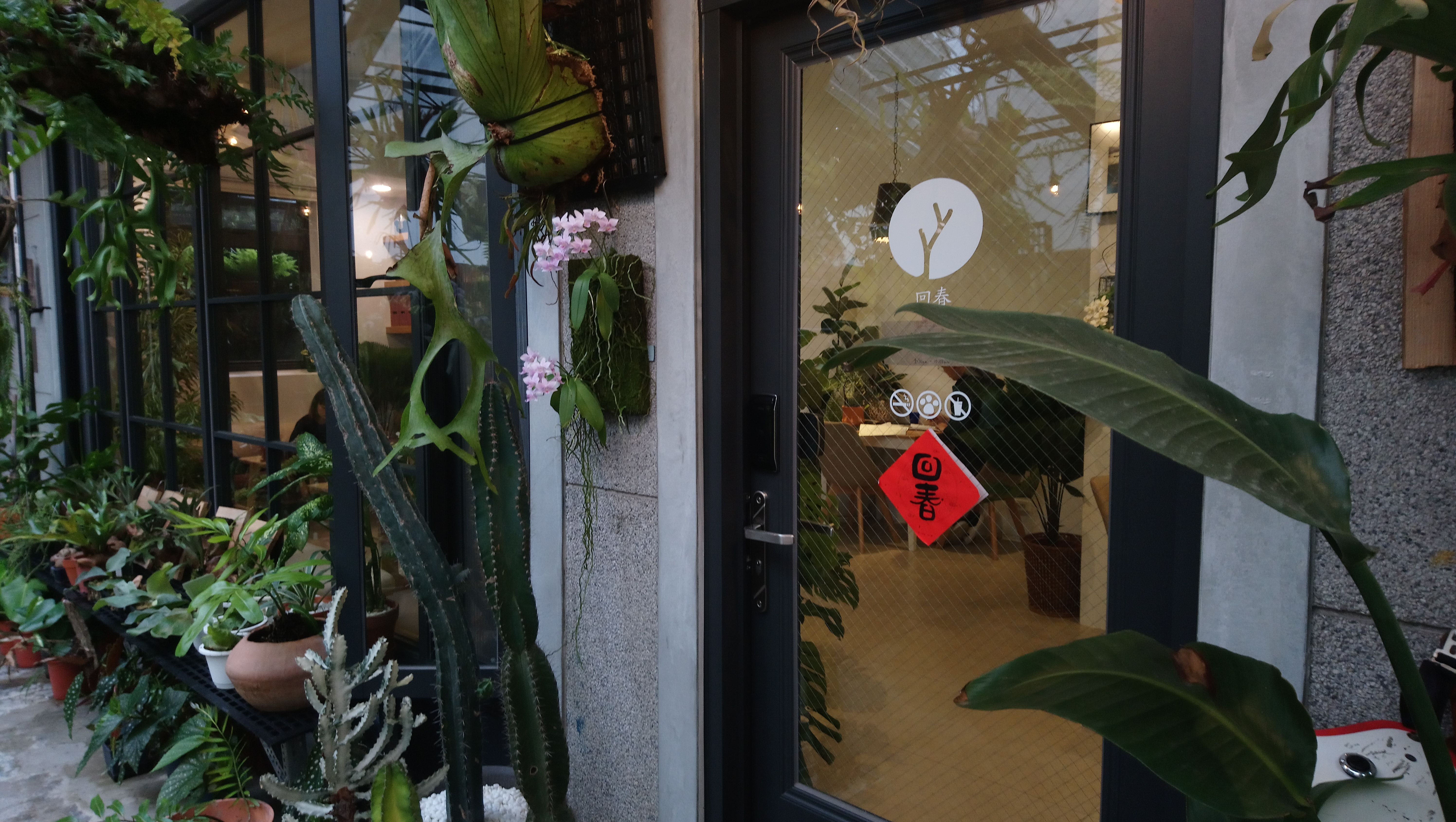 [ Vivify Cafe @ Hualien ] 巷弄隱藏版綠意盎然・回春咖啡