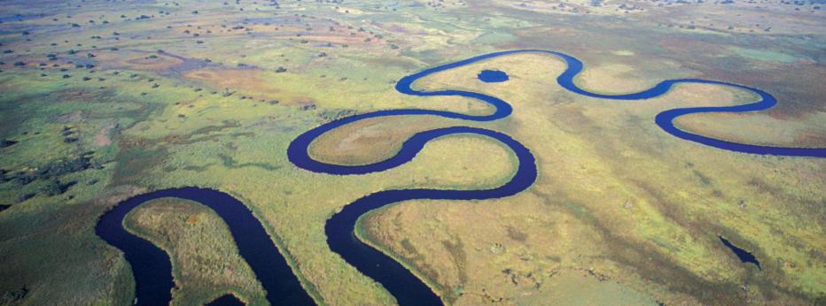 Okavango River.jpg