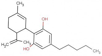 CBD-Gotgot44-330x182.jpg