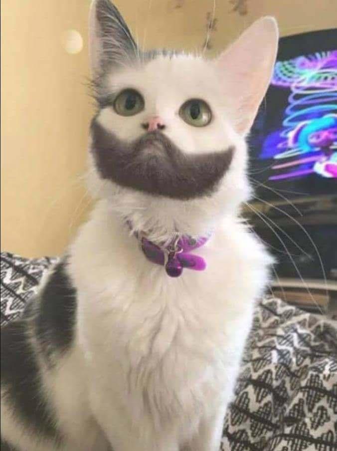 2.jpeg