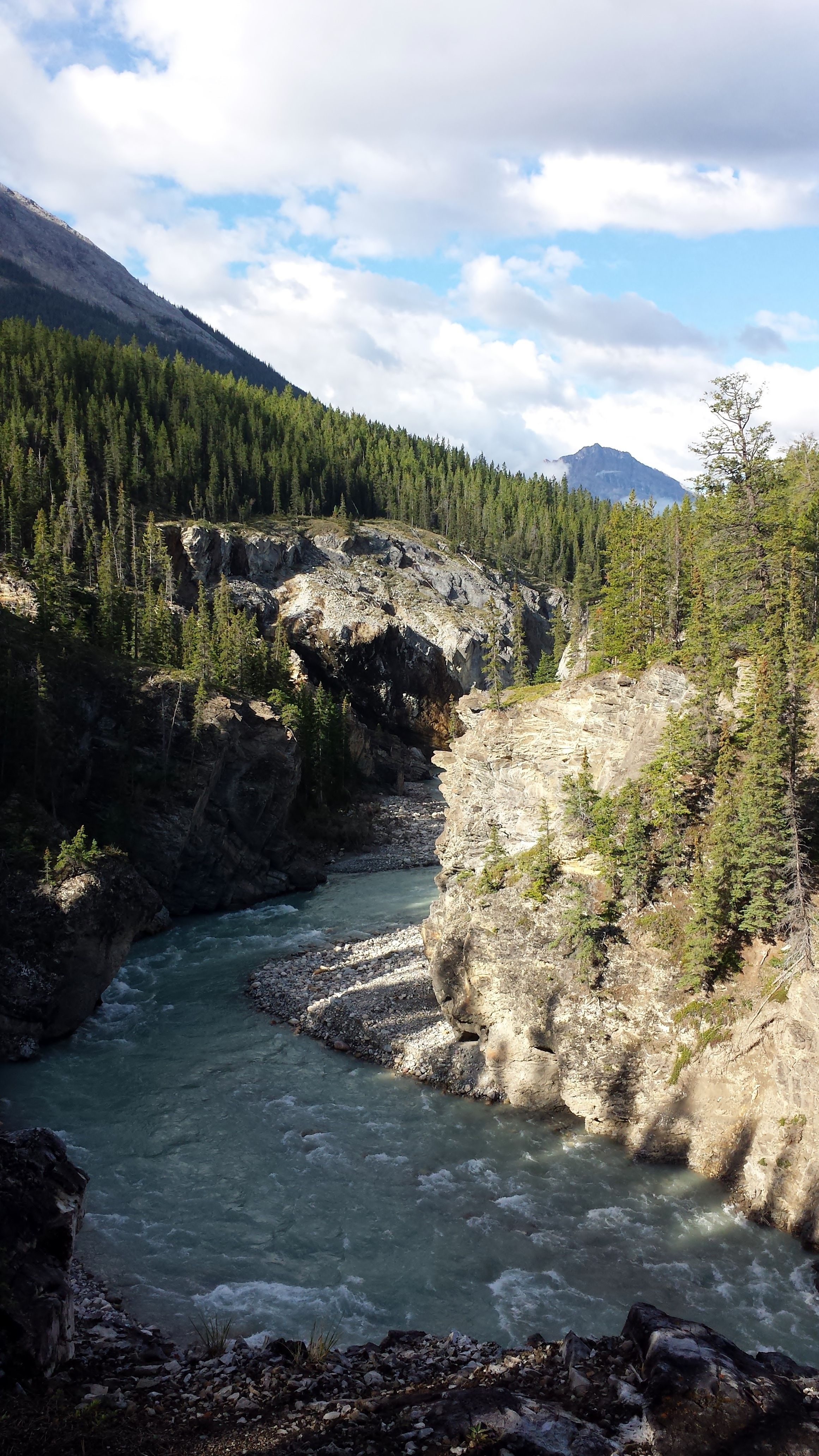 River in the rockies.jpg