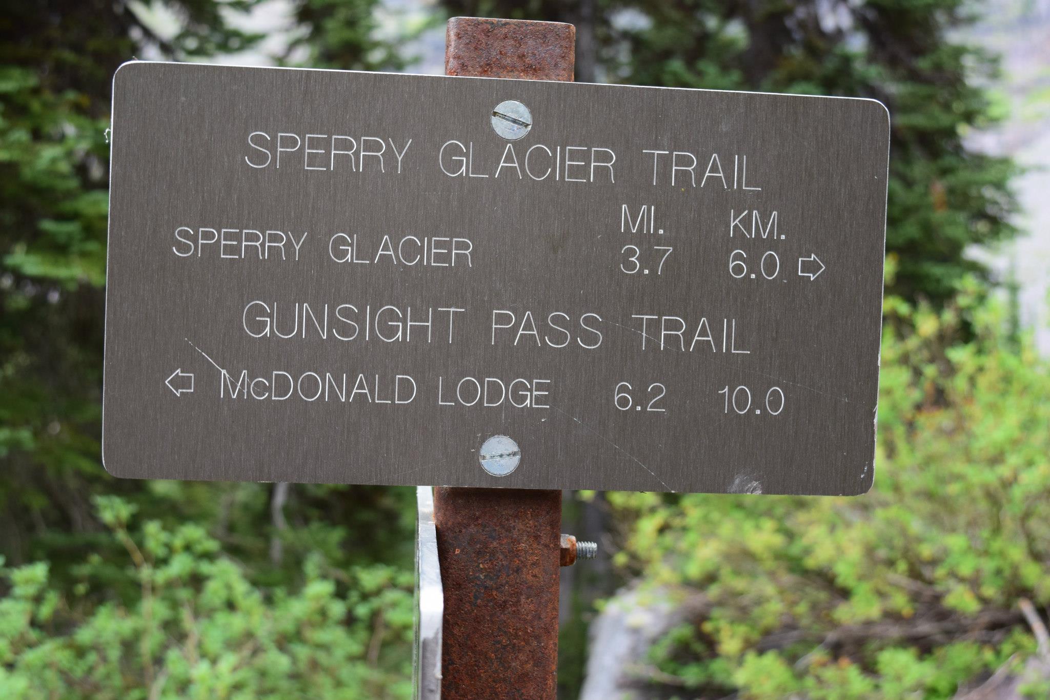 10514206_10152603614440379_5962016854631431975_o (1).jpg