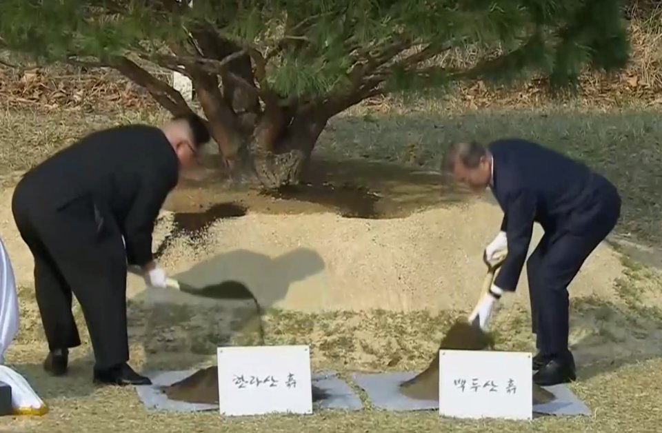 tree.jpg