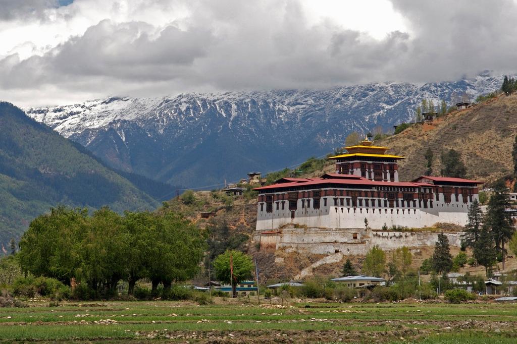 paro-bhutan-by-suzan-black-in-paro-district-paro-bhutan_6424415_l.jpg