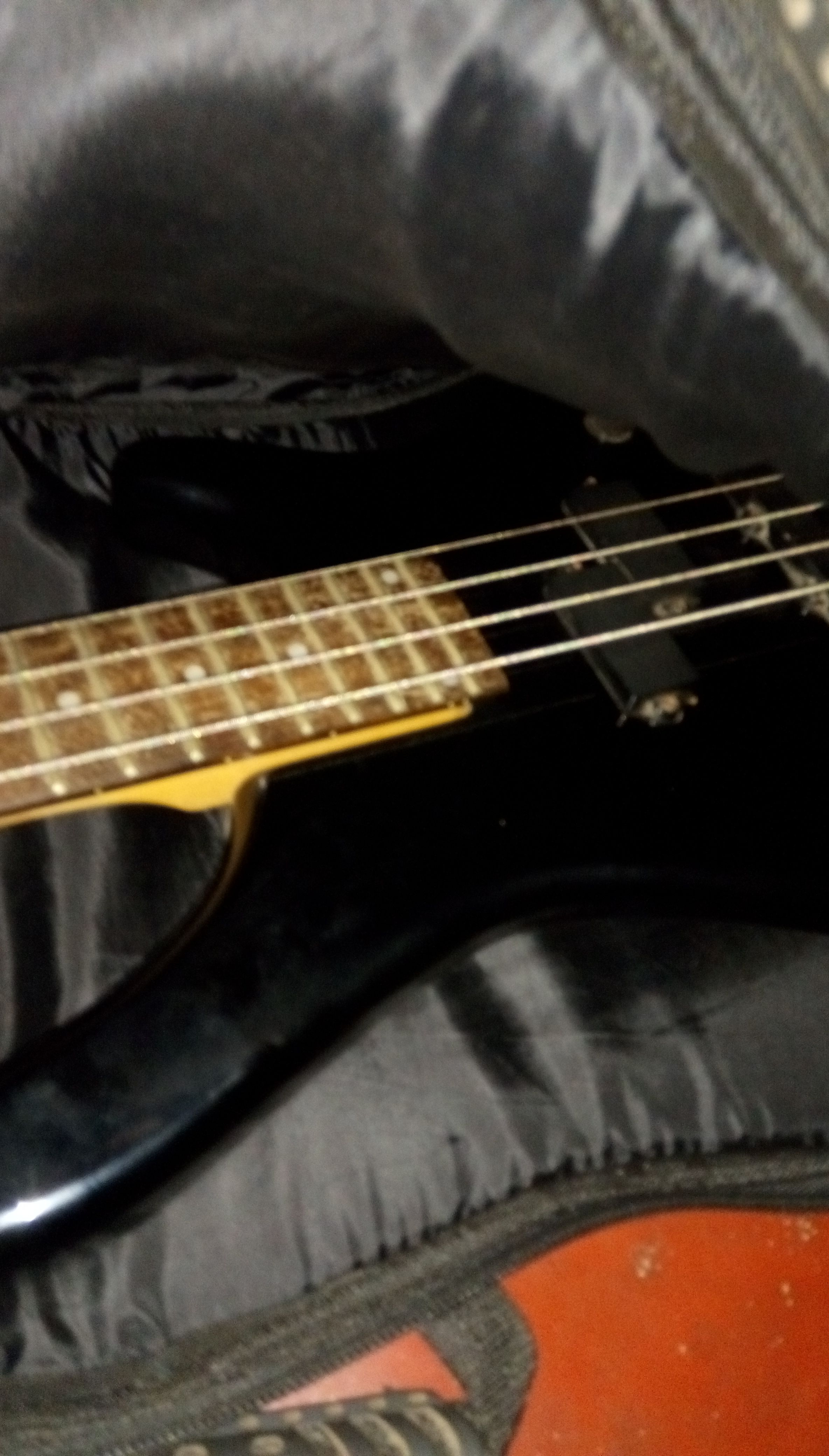 IMAG0603.jpg