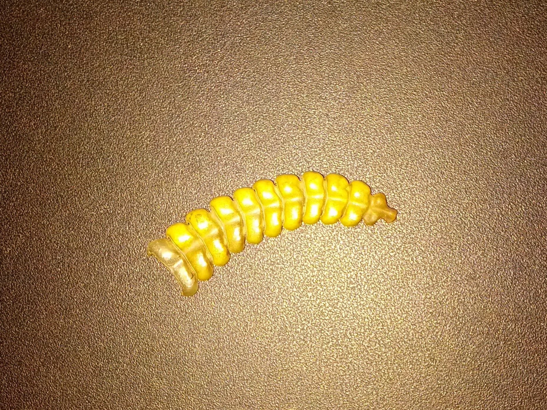 IMG_20180409_073446.jpg