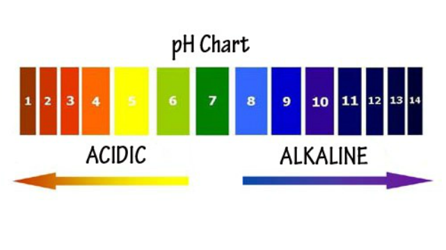 strong acidic water ph 2.5