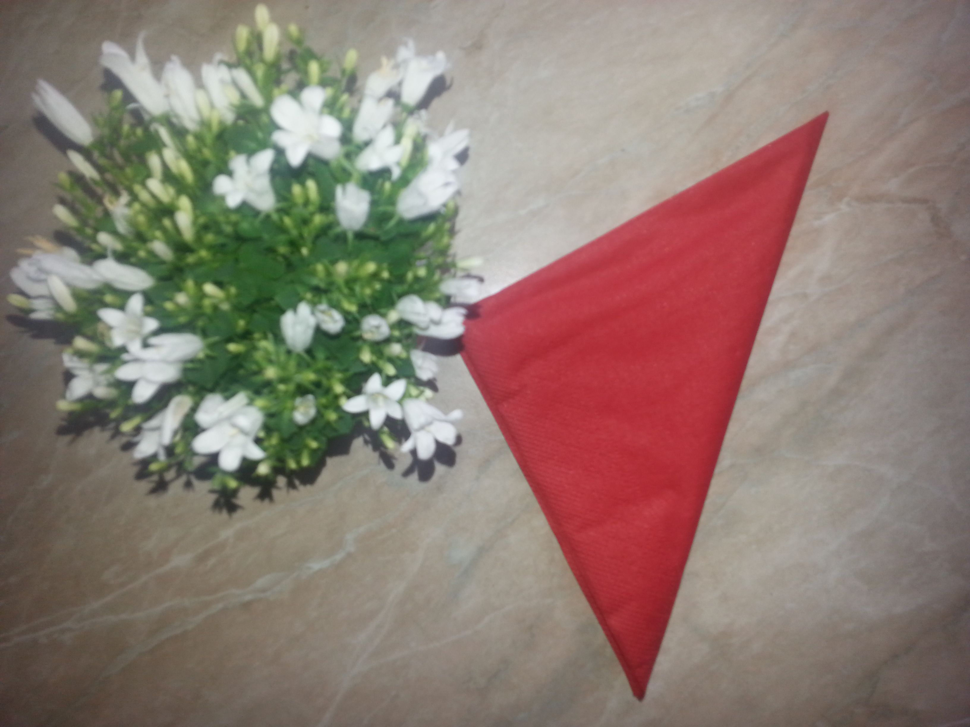 20170311_145416.jpg