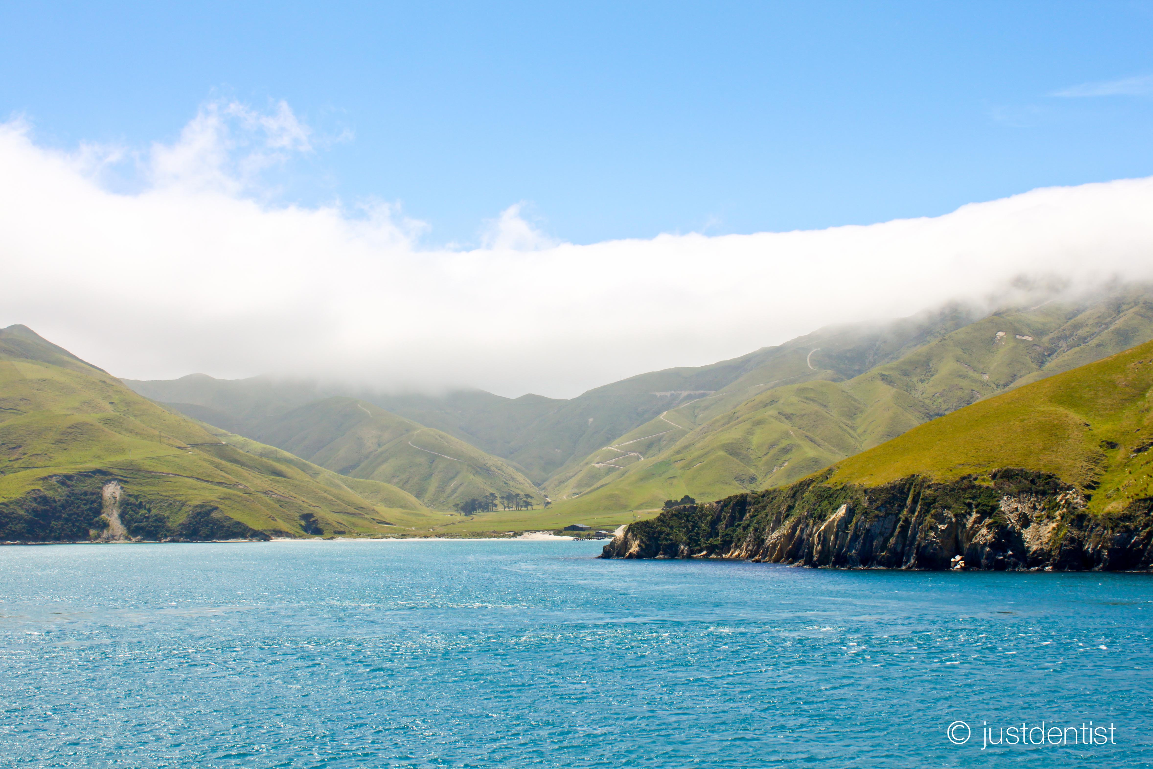 justdentist new zealand crossing ferry.jpg