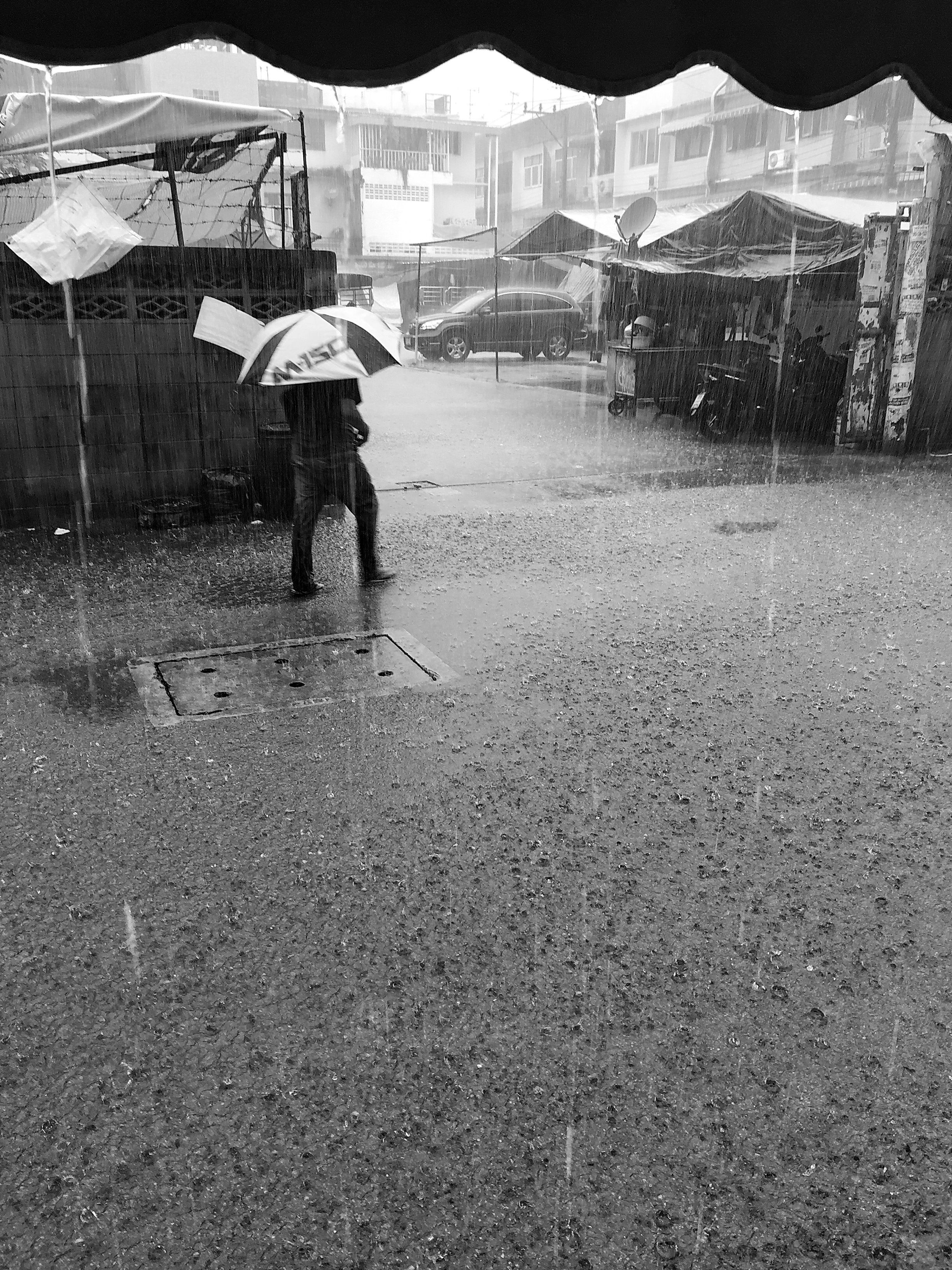 iPhone 6 Oct 12th 2017 rooftop garden 160.JPG