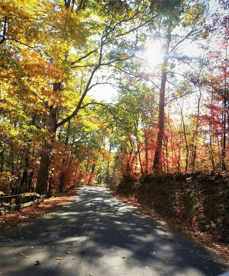 road to robins (2).jpg