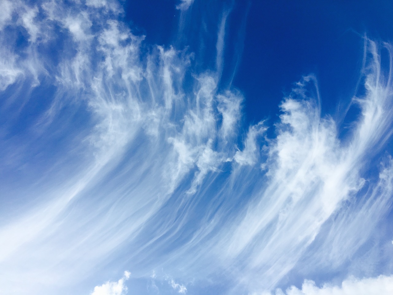 cirrus-2393167_1280.jpg