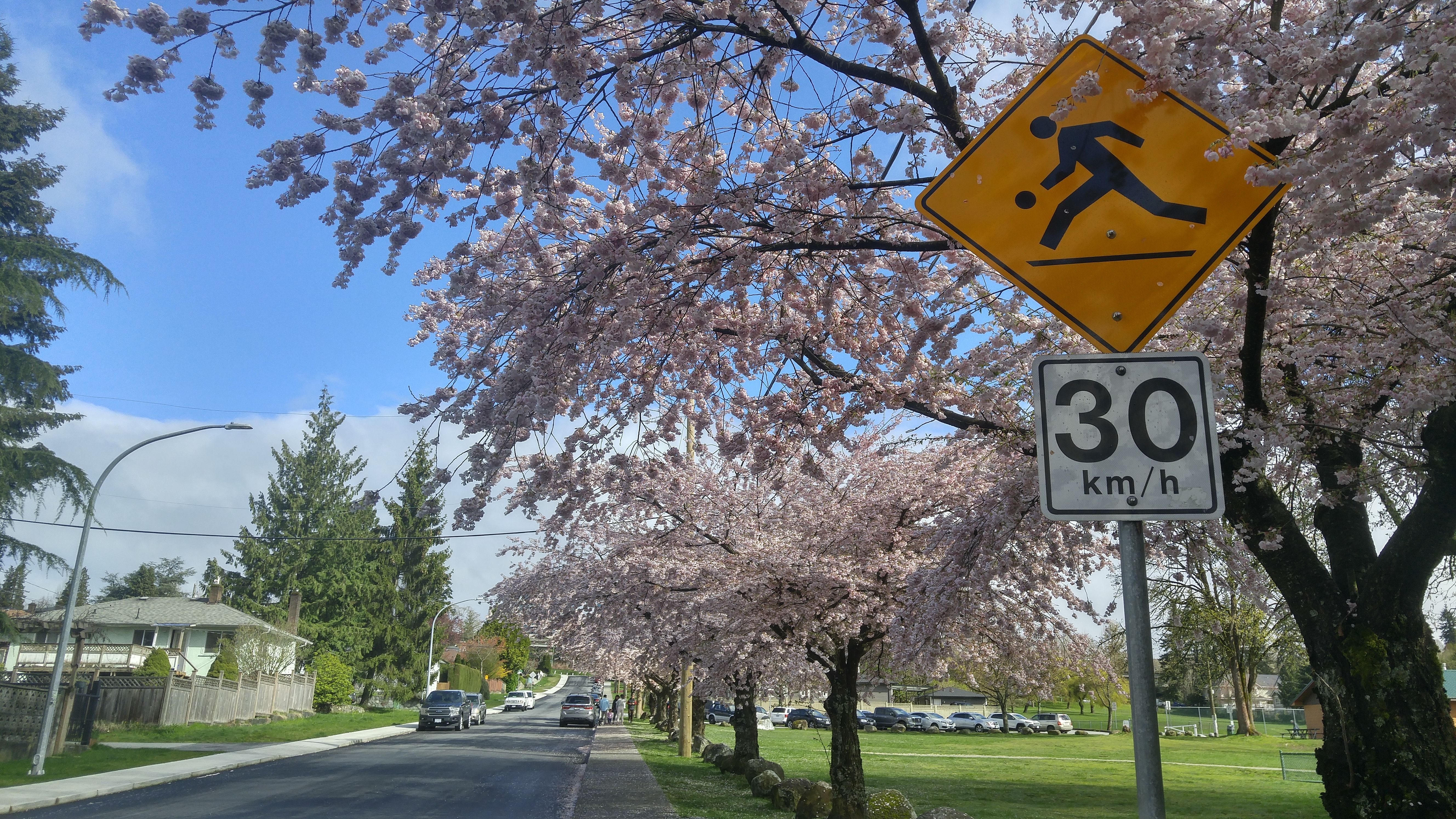 20180415_100227_HDR.jpg