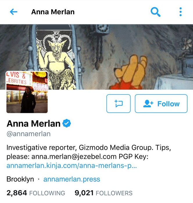 Ann Merlan Twitter.png
