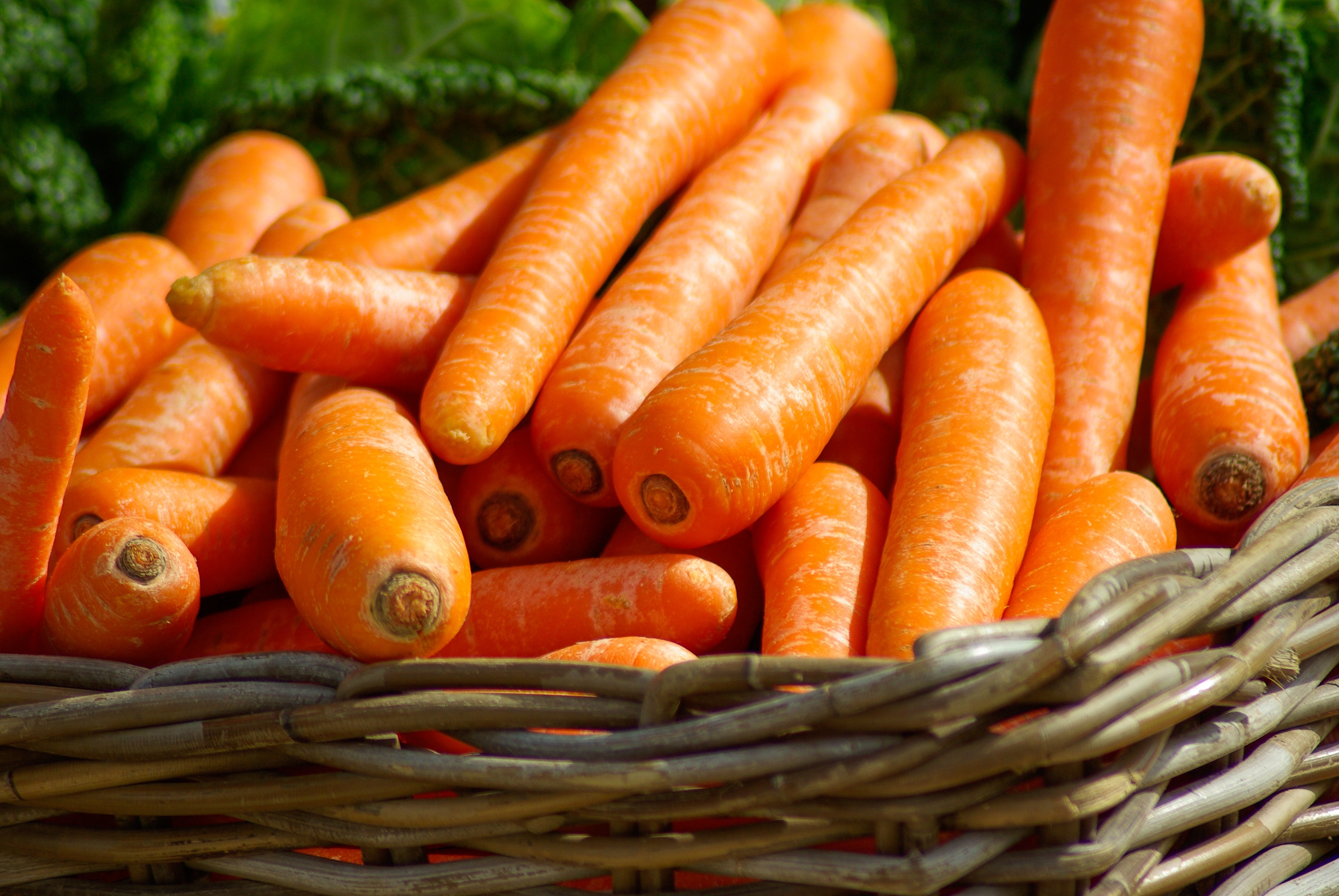 basket-carrots-orange-37641.jpg